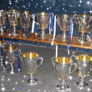 Meet your Posher, Sam